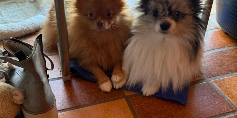 Emma & Urmel